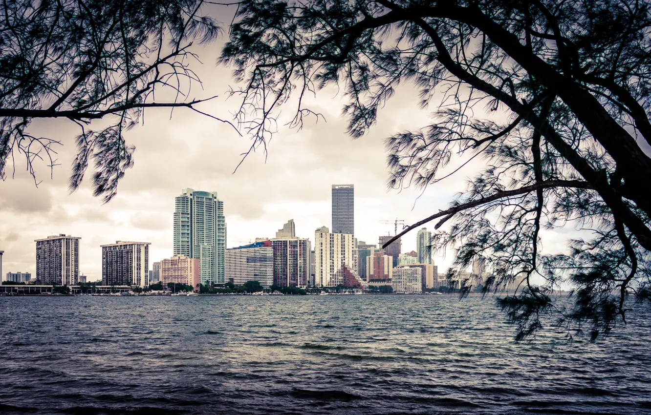 Photo wallpaper the sky, water, clouds, trees, shore, building, home, Miami