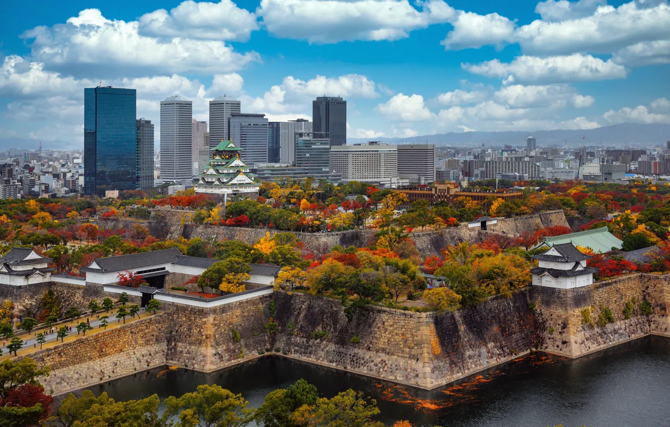 Photo wallpaper trees, Park, castle, building, Japan, Japan, skyscrapers, Osaka
