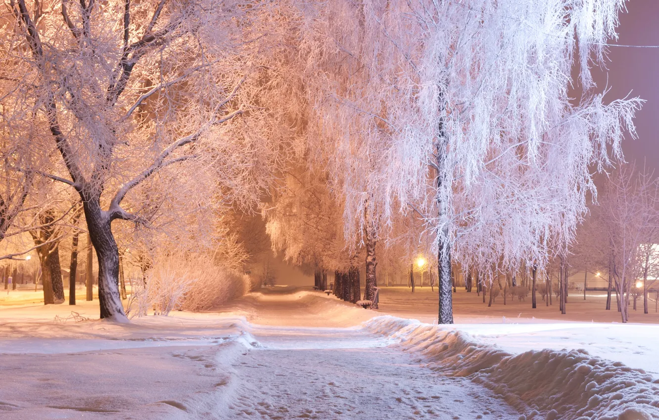 Photo wallpaper winter, snow, trees, night, lights, Park, lights, track