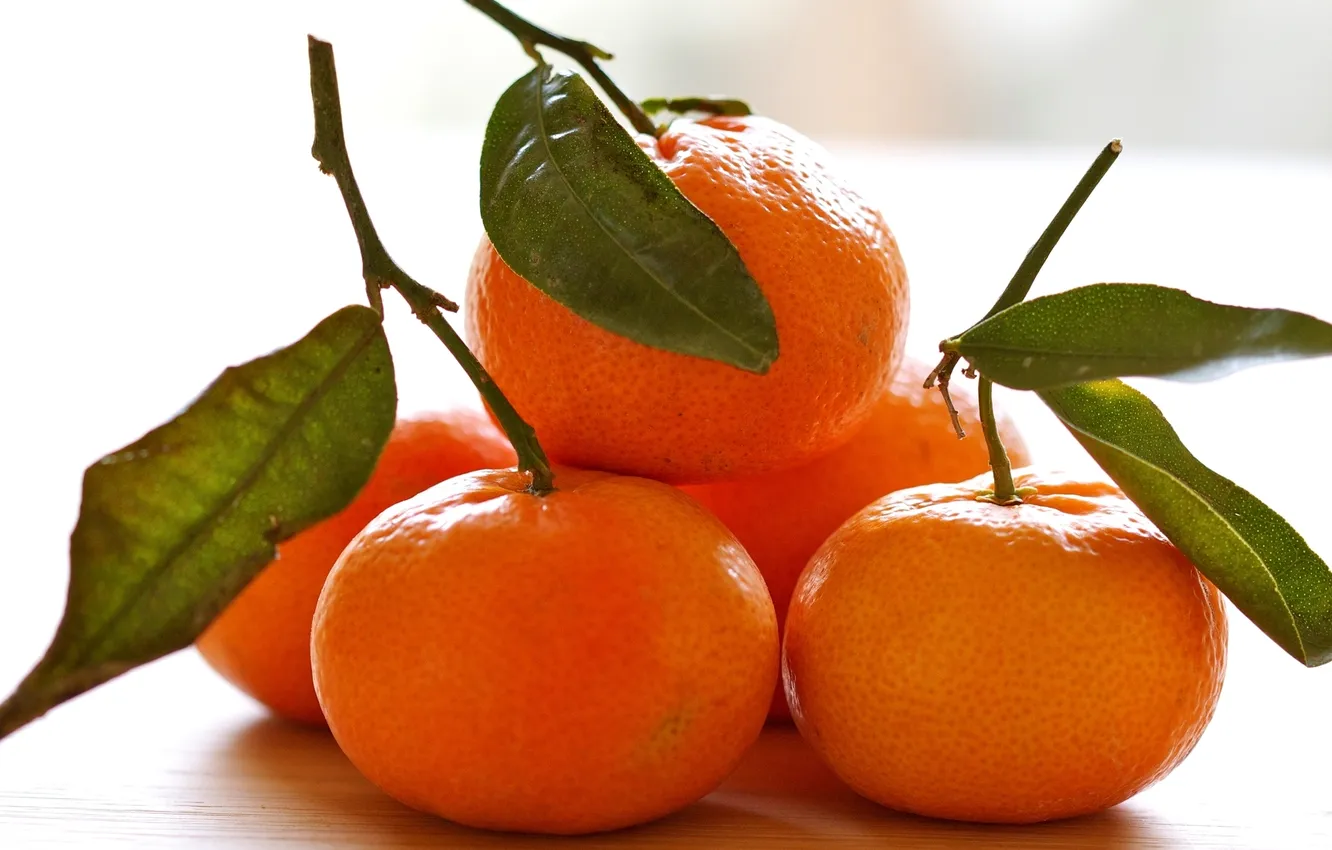 Photo wallpaper leaves, table, fruit, orange, citrus, tangerines