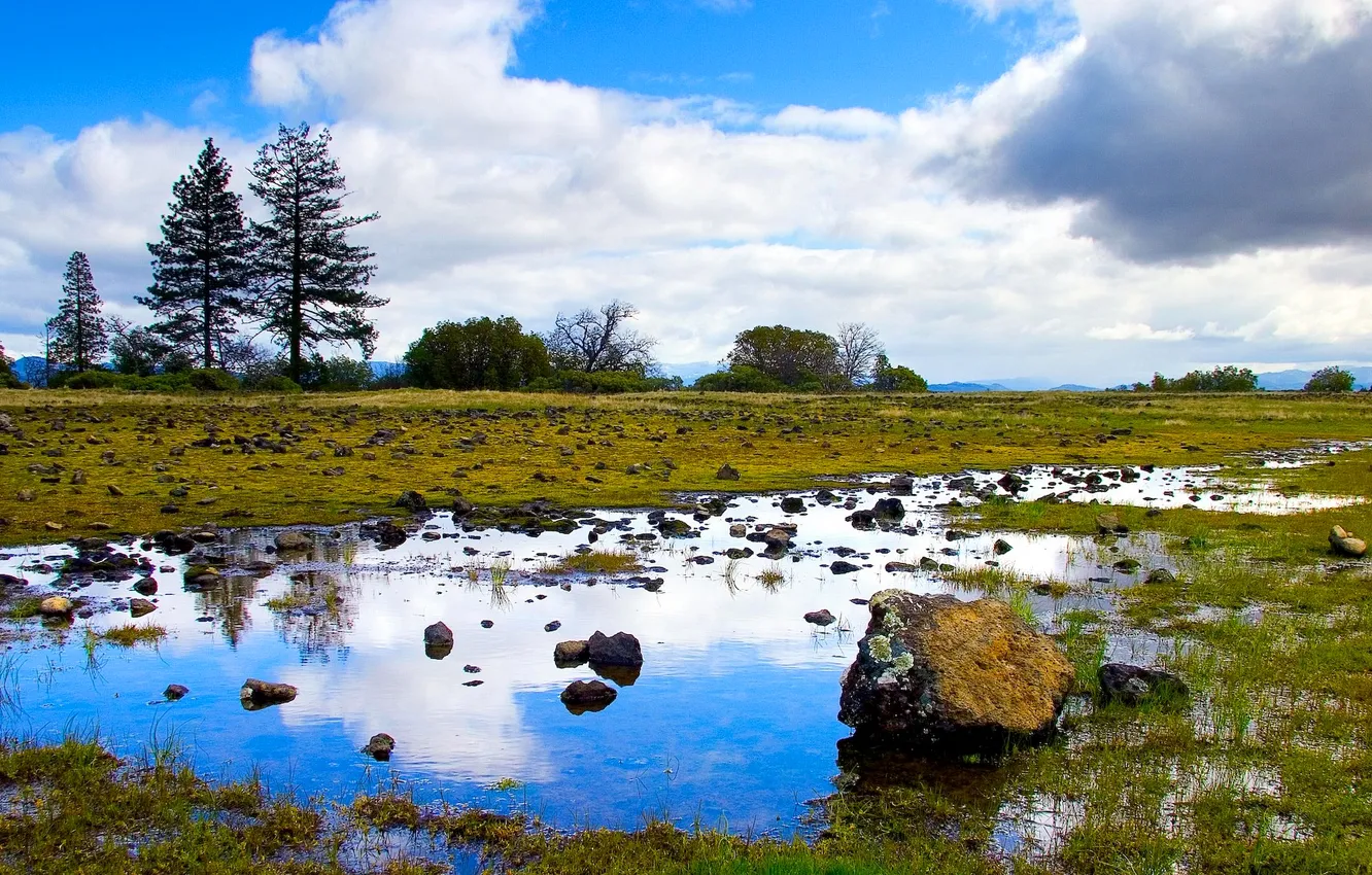 Photo wallpaper the sky, grass, clouds, trees, reflection, stones, puddle