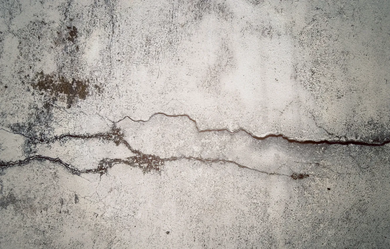Photo wallpaper wall, moss, concrete, crack, crack in time, fancq