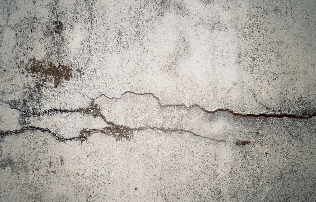Photo wallpaper cracked, wall, moss, concrete, crack in time, fancq