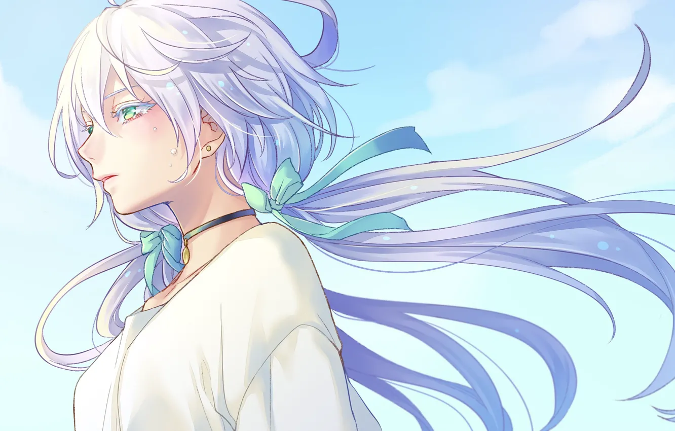 Photo wallpaper girl, the wind, hair