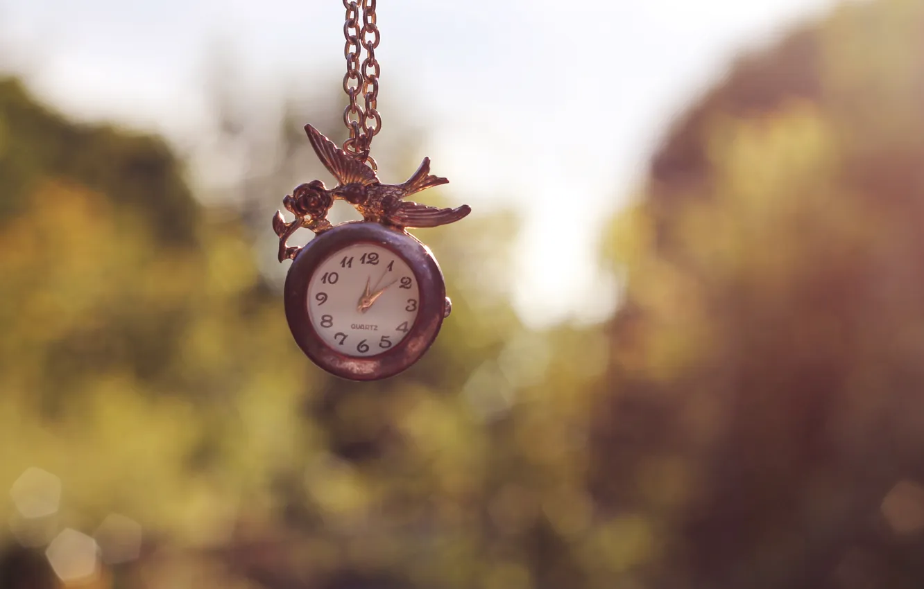 Photo wallpaper flowers, bird, watch, roses, chain