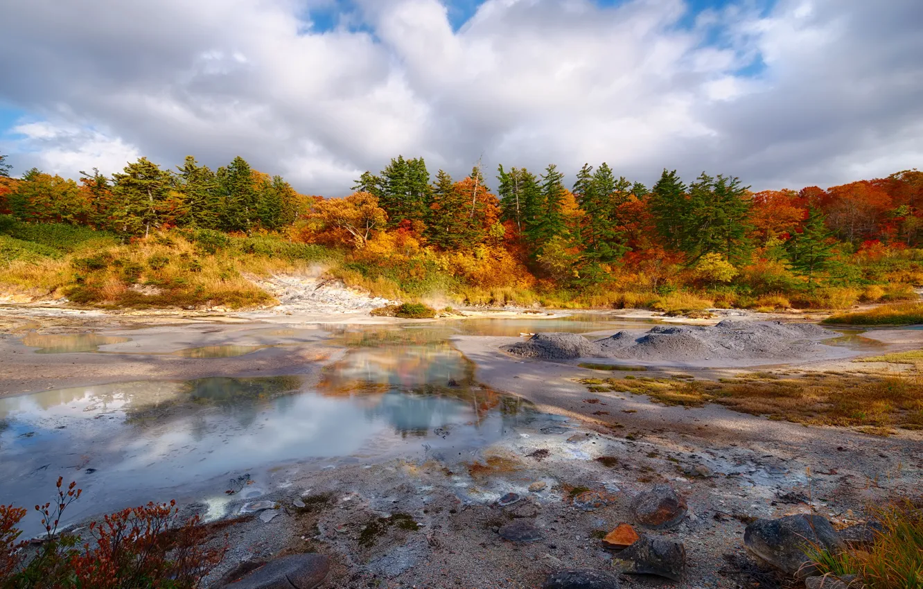 Photo wallpaper autumn, forest, Japan