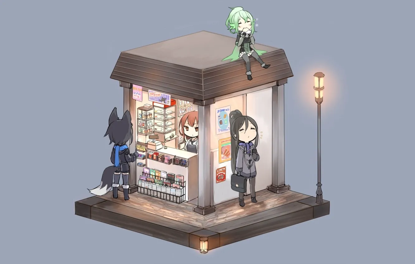 Photo wallpaper lights, tail, grey background, portfolio, ears, shop, products, products