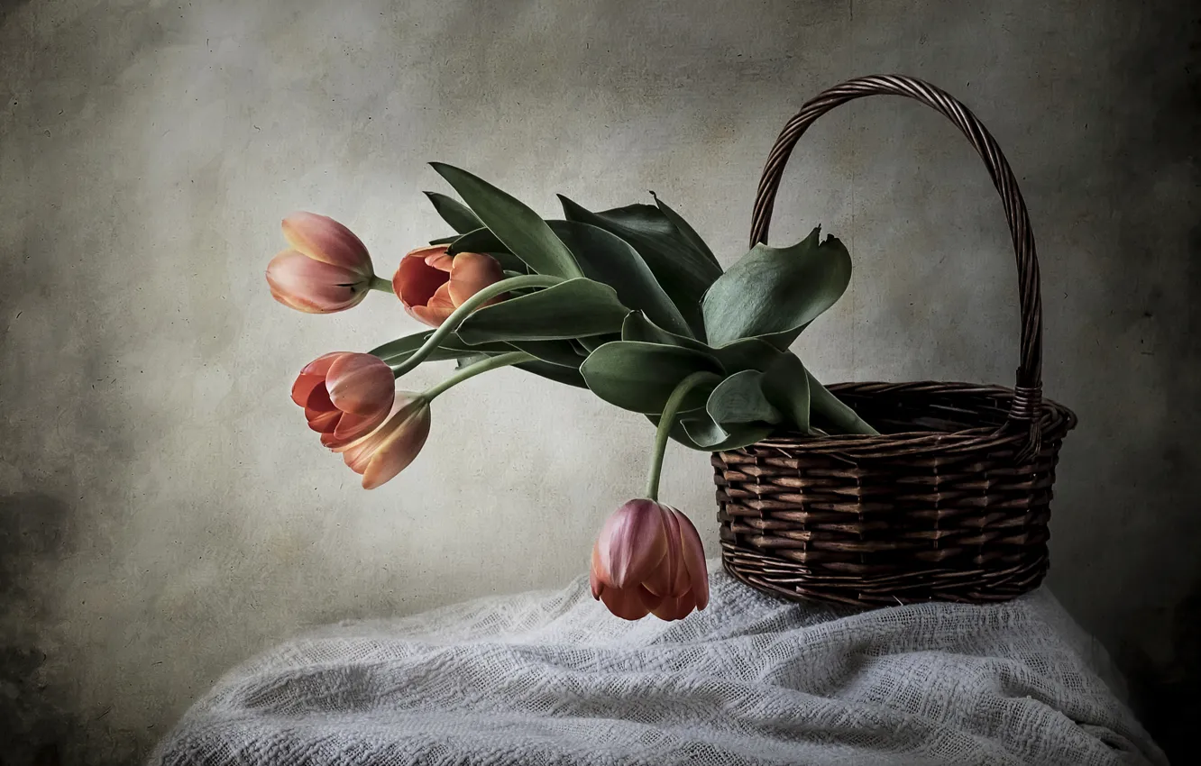 Photo wallpaper style, basket, tulips