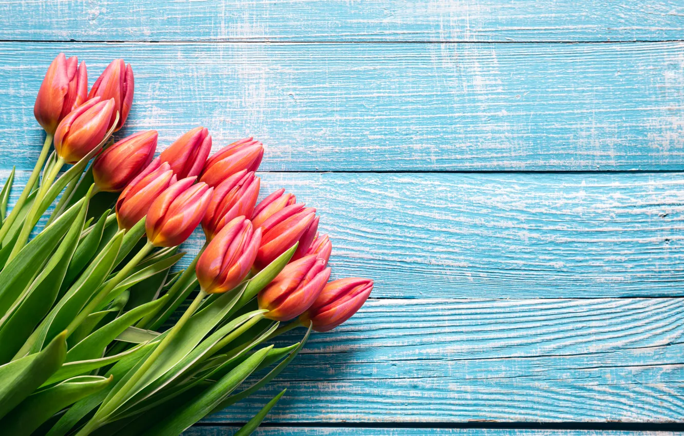 Photo wallpaper flowers, bouquet, spring, colorful, tulips, red, fresh, flowers