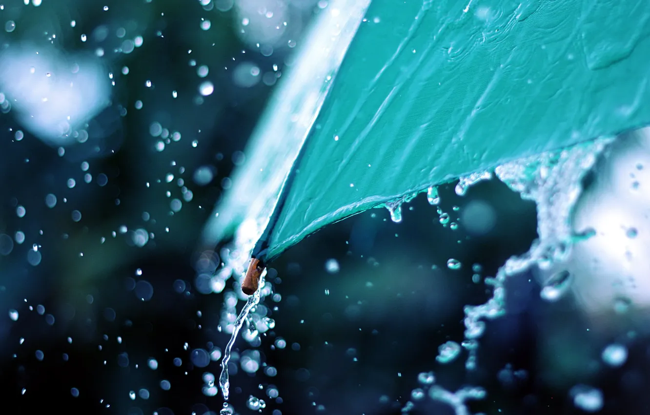 Photo wallpaper drops, macro, rain, umbrella