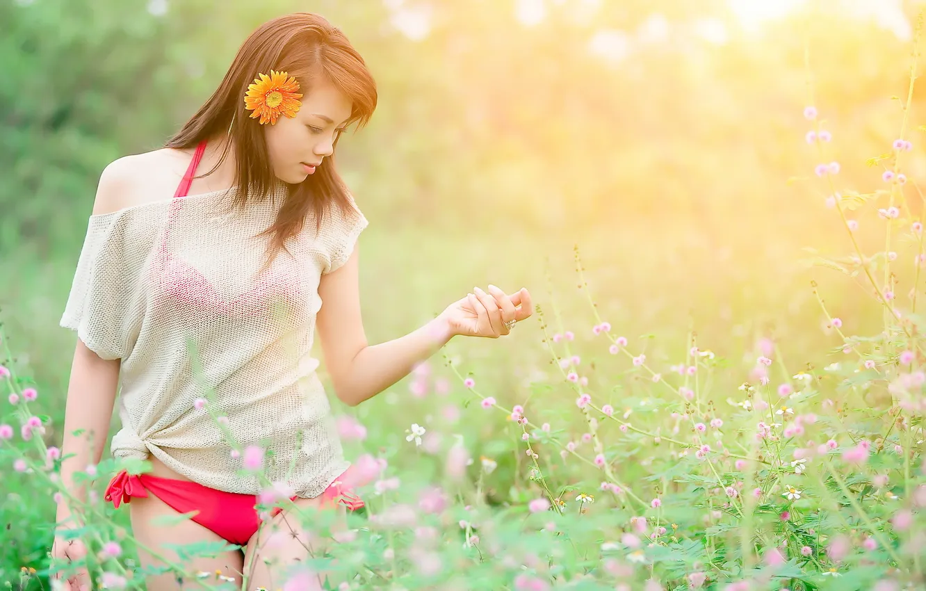 Photo wallpaper field, summer, girl