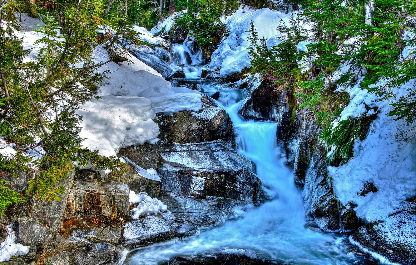 Photo wallpaper forest, snow, trees, river, stones, stream, cascade