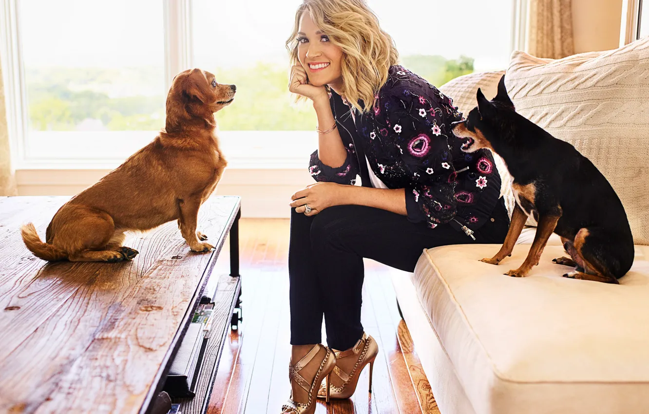 Photo wallpaper dogs, pose, smile, window, hairstyle, blonde, singer, Carrie Underwood