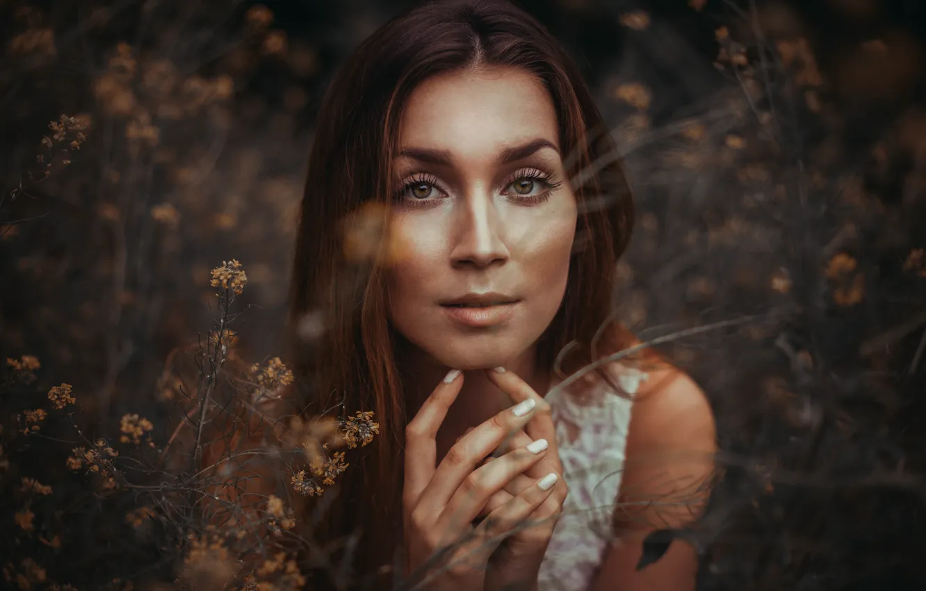 Photo wallpaper look, face, girl, eyes, background