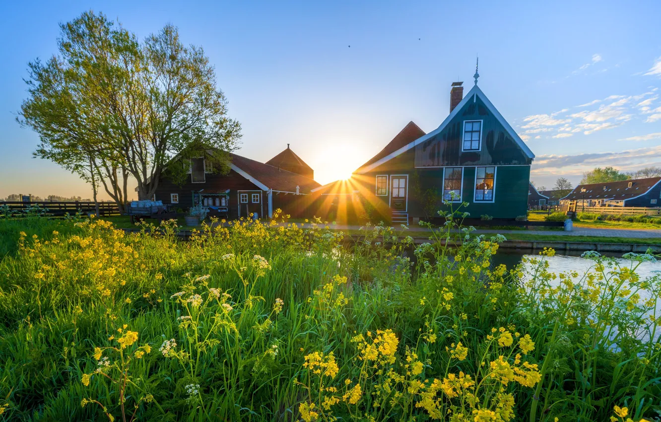 Photo wallpaper house, village, shore, pond