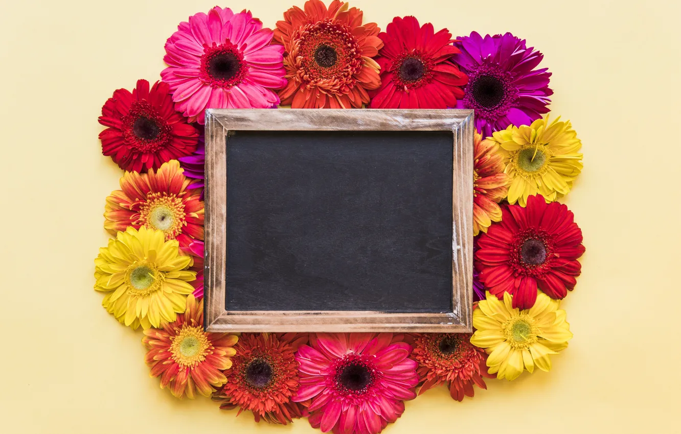 Photo wallpaper flowers, spring, frame, colorful, chrysanthemum, wood, flowers, spring
