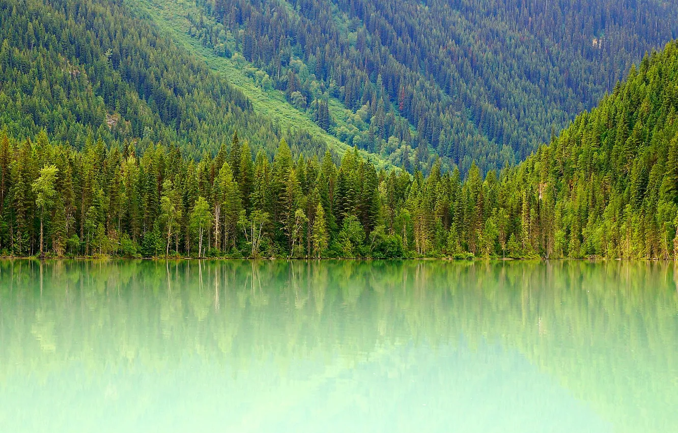 Photo wallpaper forest, mountains, lake, slope, Canada, Canada, Mount Robson, Kinney Lake