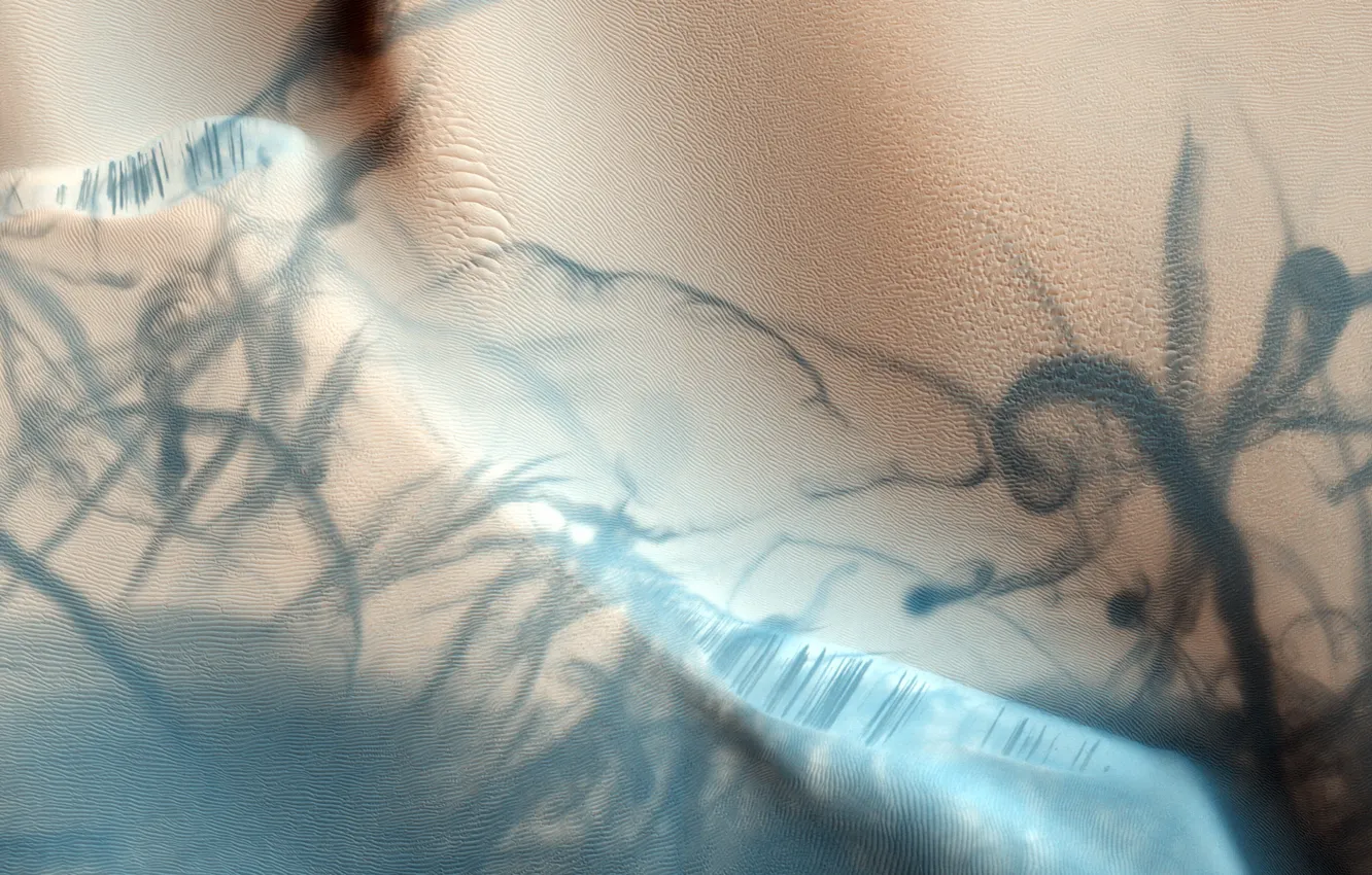 Photo wallpaper sand, traces, Mars