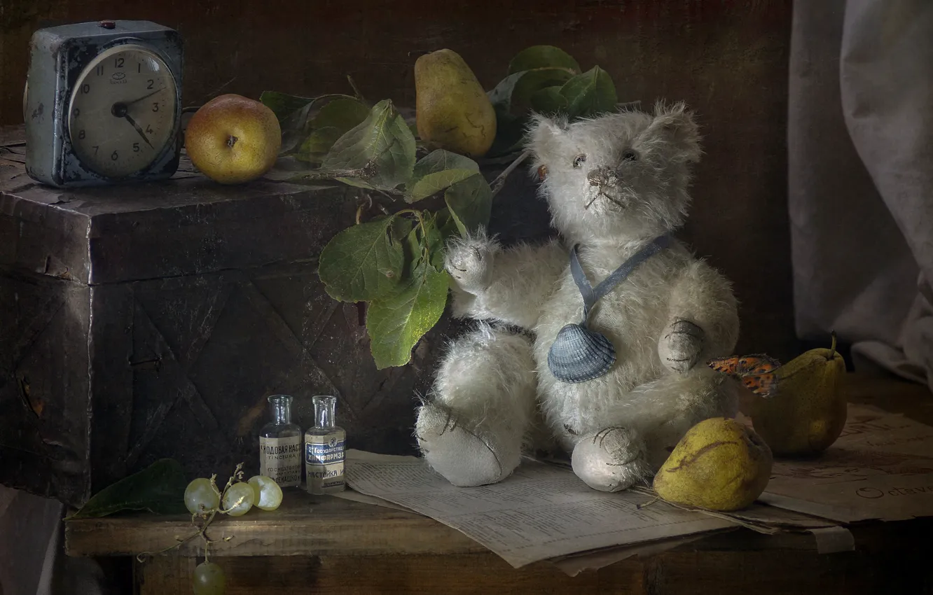 Photo wallpaper toy, bear, bear, still life, pear