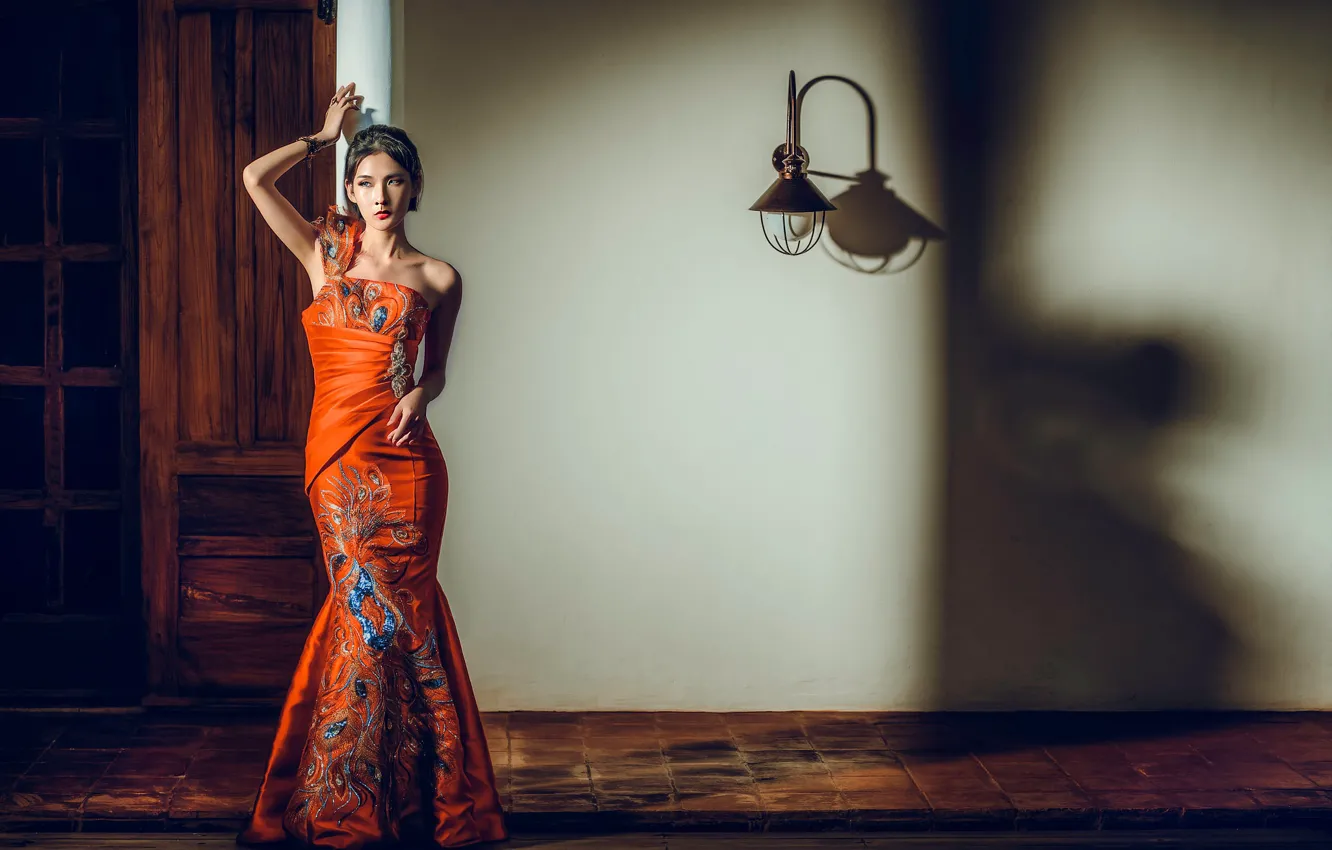 Photo wallpaper pose, style, figure, dress, lights