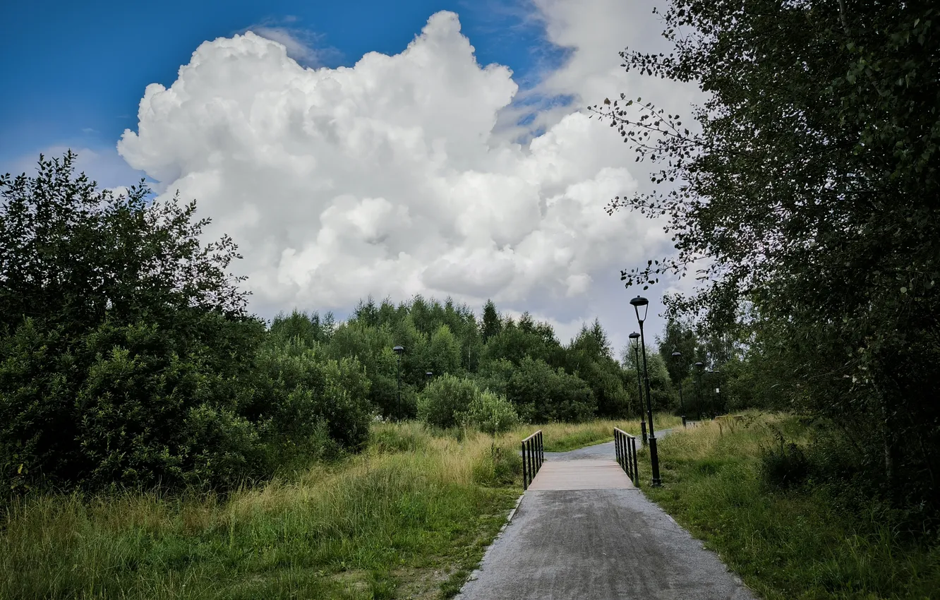 Photo wallpaper summer, the sky, clouds, trees, nature, Moscow, path, July