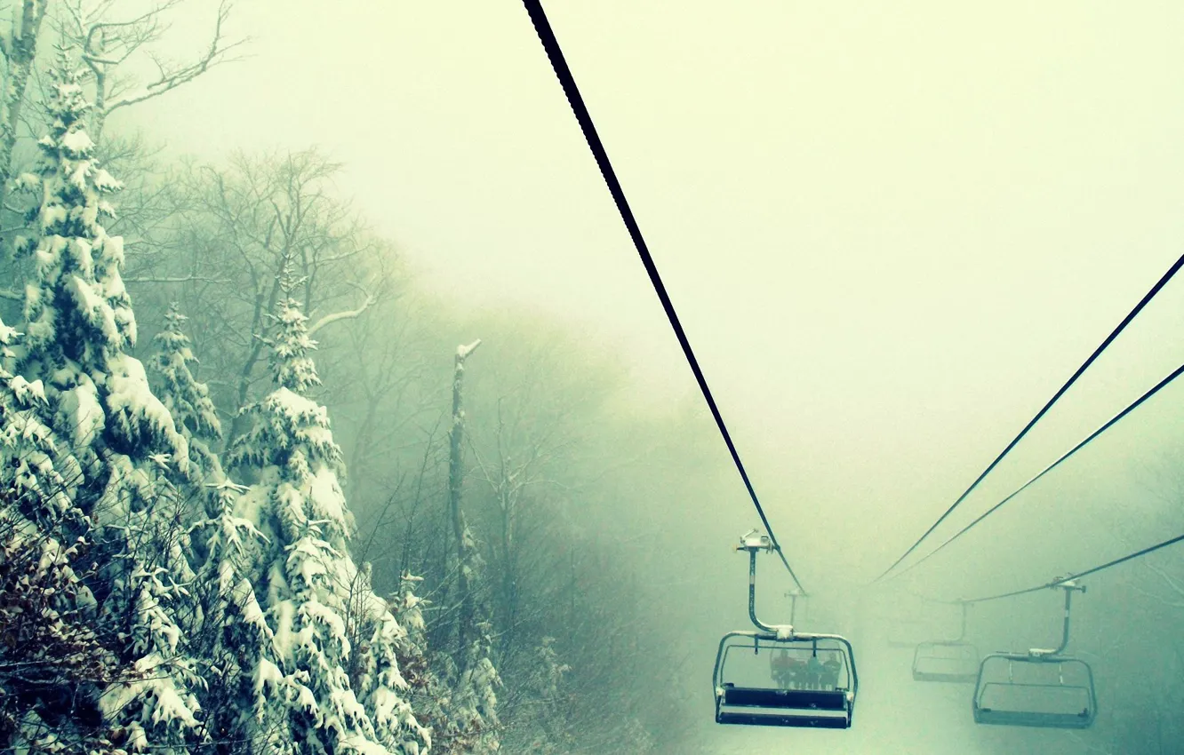 Photo wallpaper winter, forest, nature, fog, up, the snow, wallpapers, Wake up