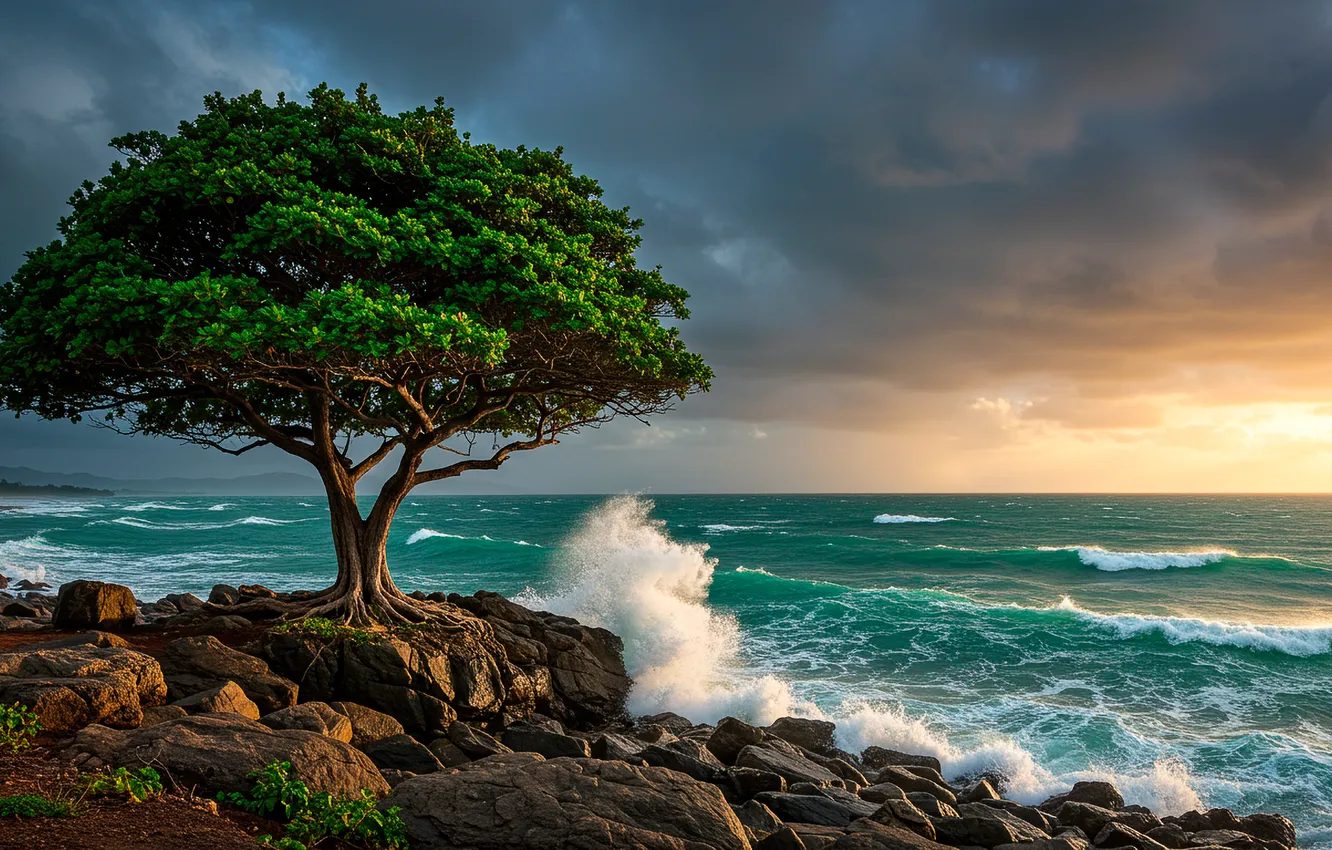 Photo wallpaper wave, trees, sunset, shore, cloud.