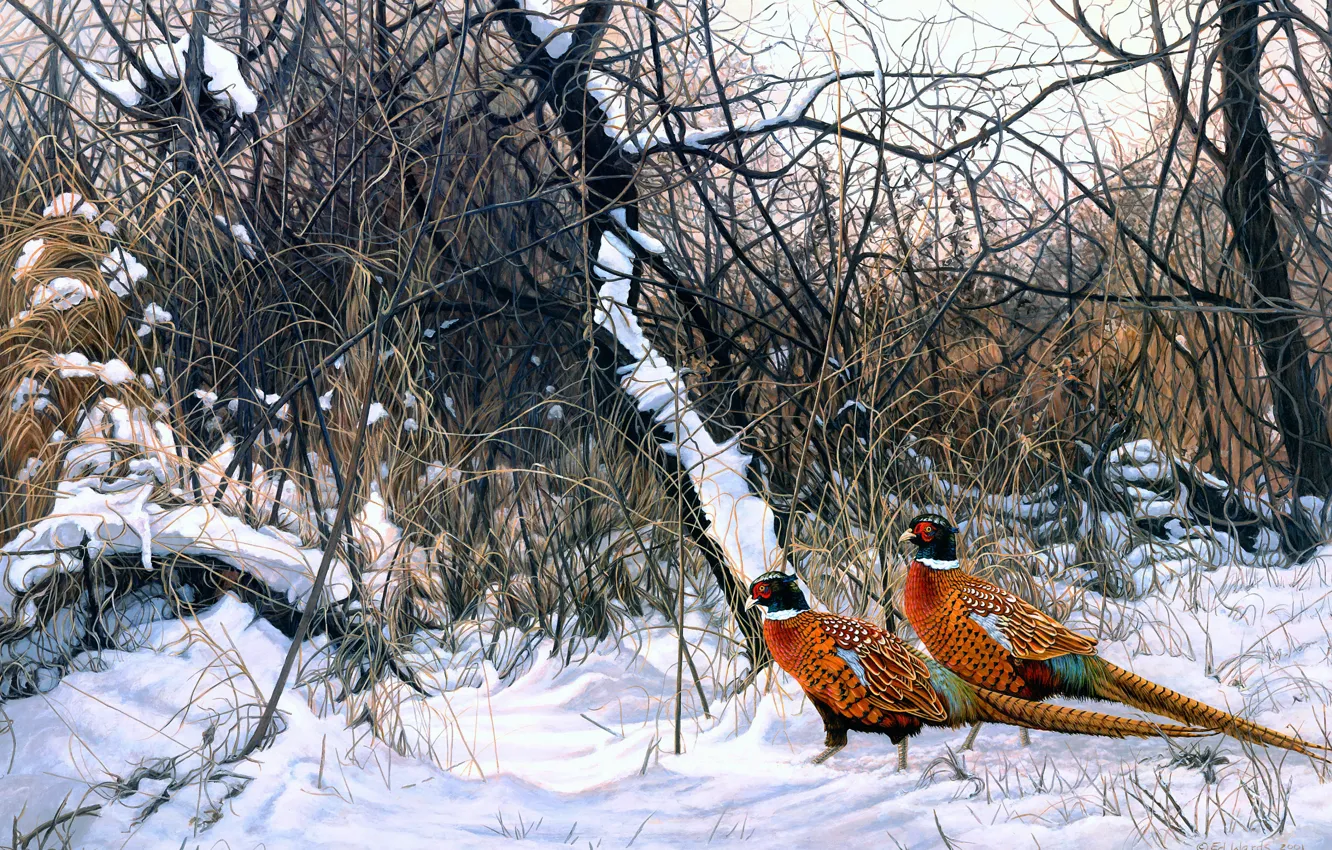 Photo wallpaper winter, forest, grass, snow, branches, nature, thickets, bird