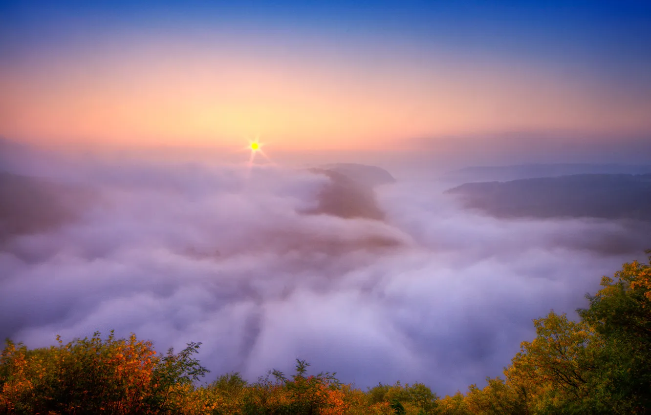 Photo wallpaper autumn, fog, river, morning, Saar