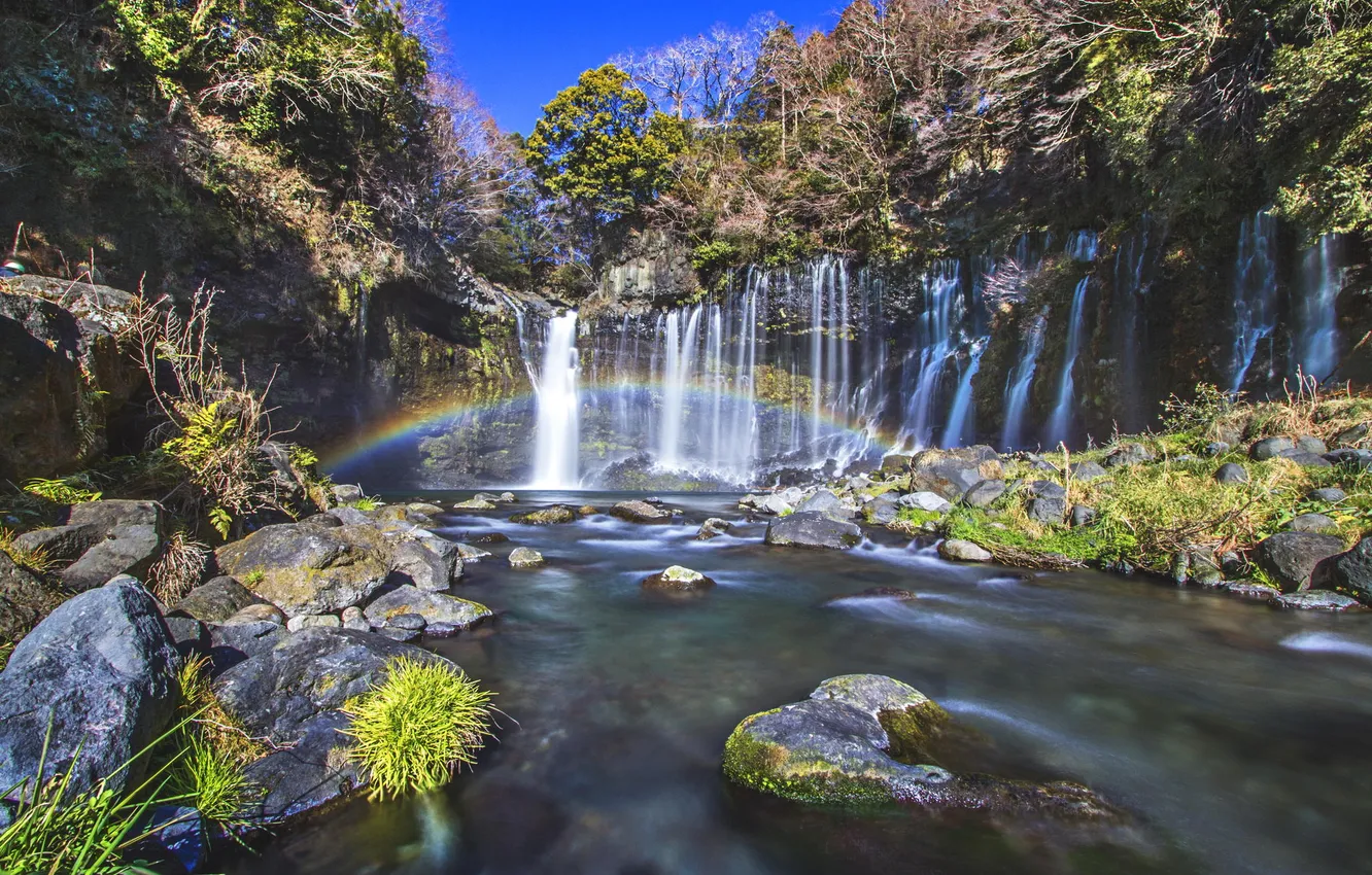 Photo wallpaper forest, river, stones, waterfall, rainbow, jungle