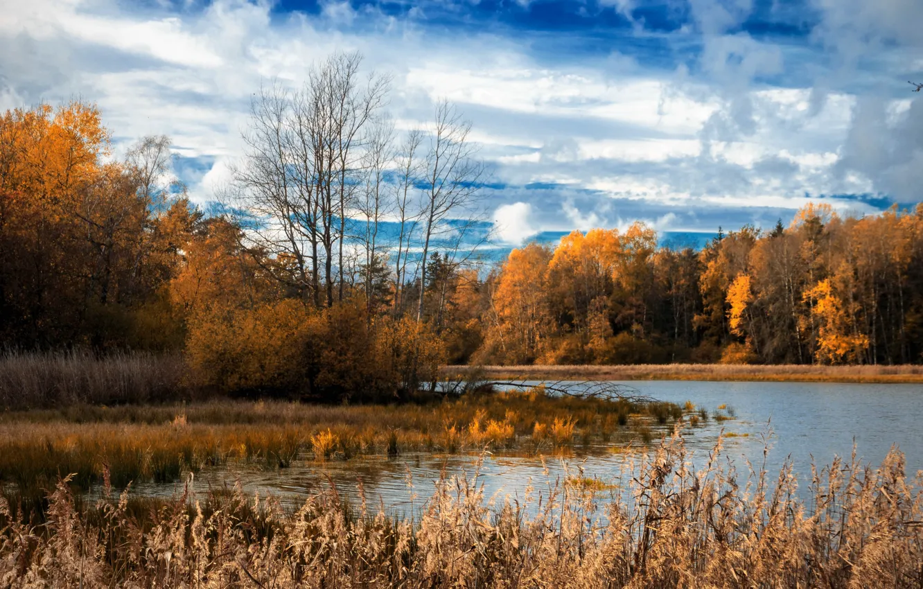Photo wallpaper autumn, forest, lake