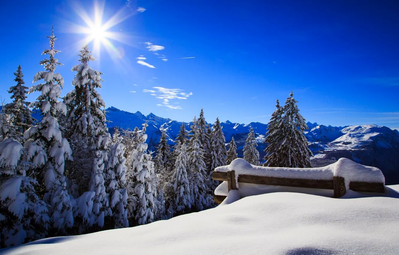 Photo wallpaper winter, forest, the sky, the sun, snow, landscape, bench, nature