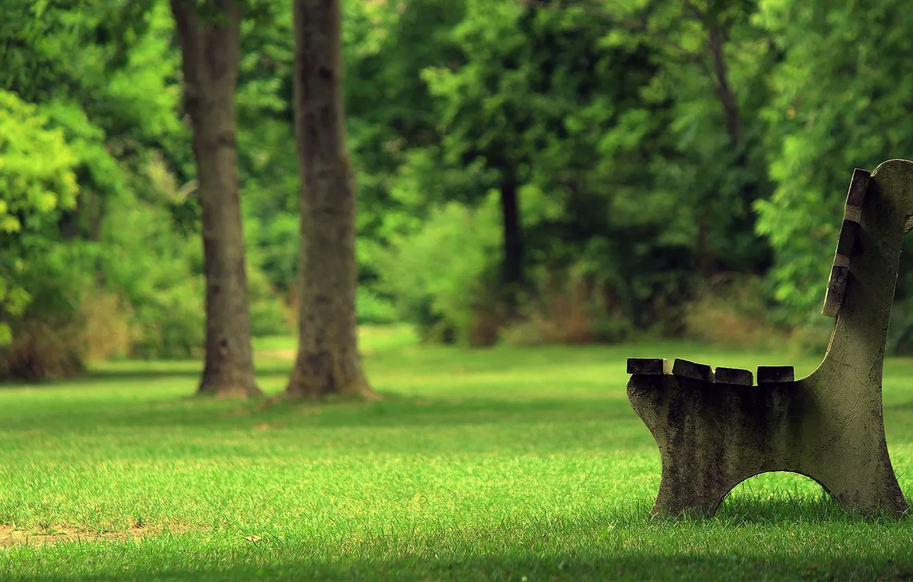 Photo wallpaper summer, grass, trees, bench, Park, shop