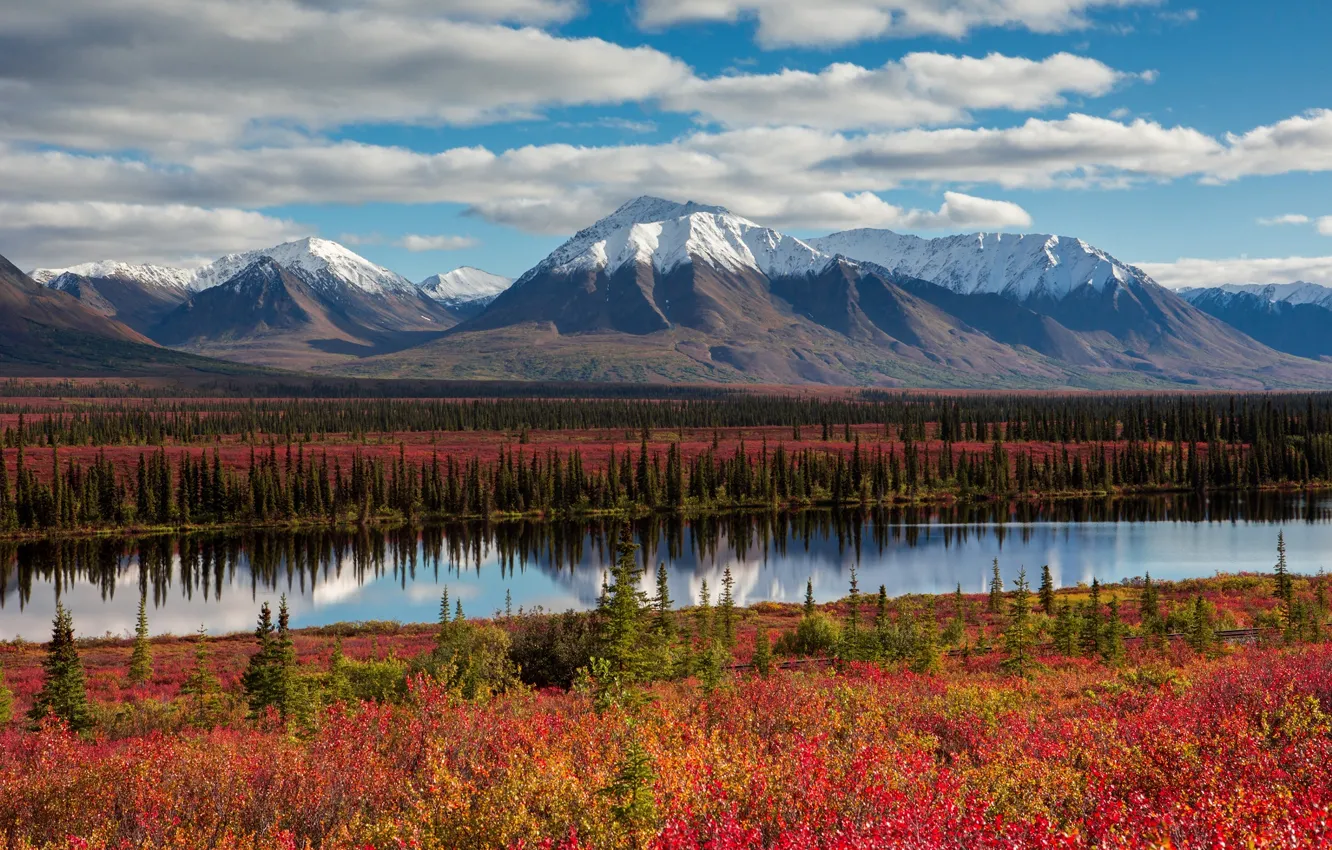 Photo wallpaper autumn, the sky, clouds, mountains, Alaska, USA, forest