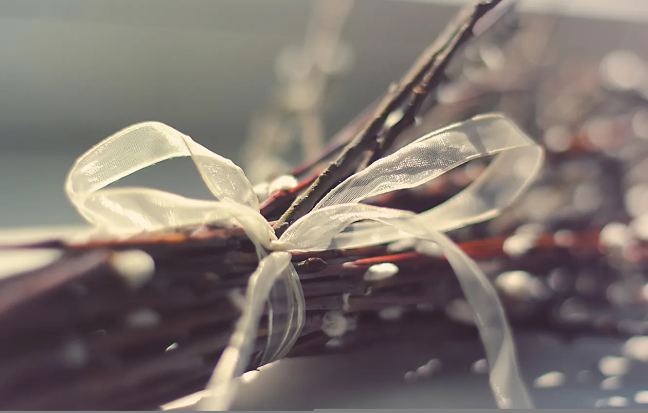 Photo wallpaper bouquet, tape, Verba