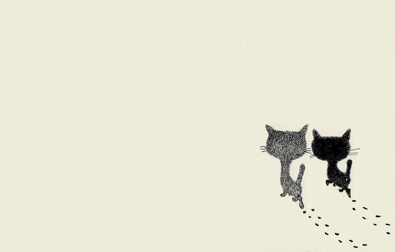 Photo wallpaper cat, art, pair, walk