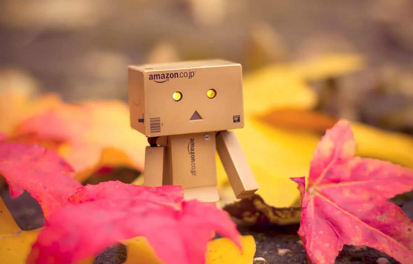 Photo wallpaper autumn, leaves, box, danbo, amazon