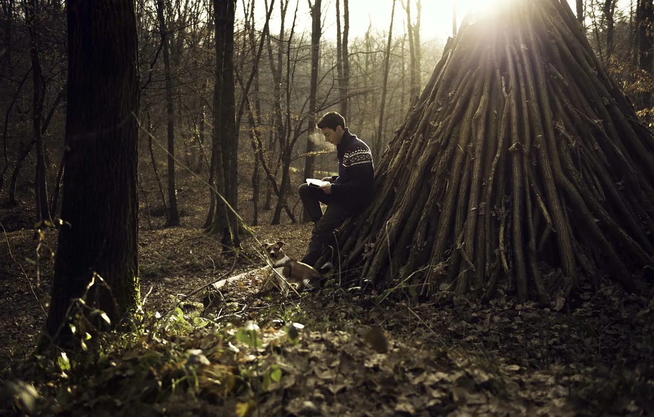 Photo wallpaper autumn, forest, leaves, the sun, tree, dog, male, reading
