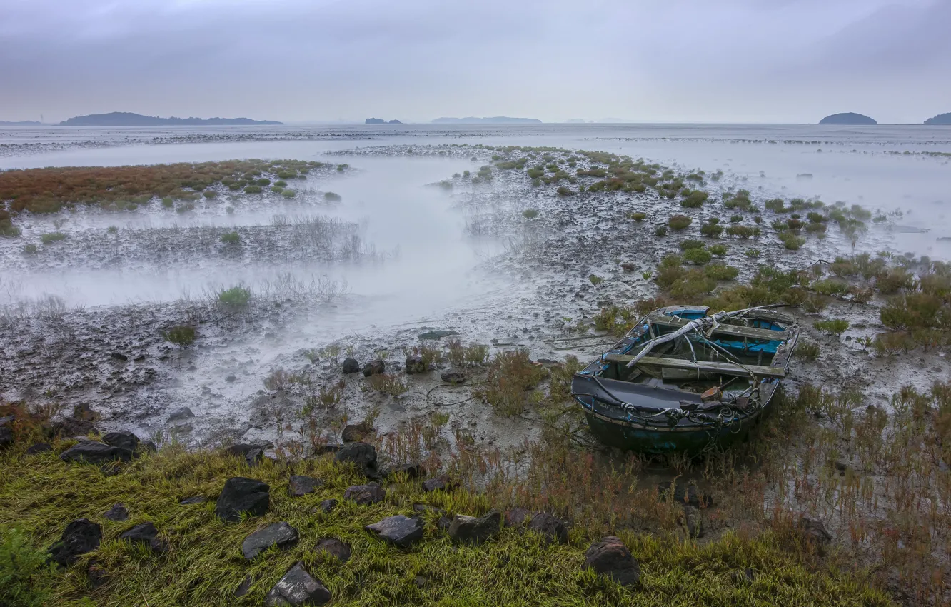 Photo wallpaper the sky, algae, fog, lake, stones, hills, shore, boat