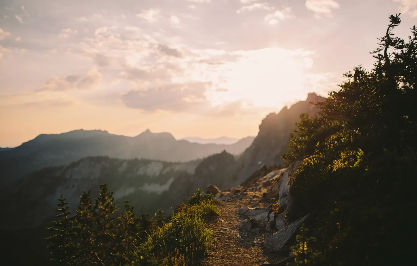 Photo wallpaper forest, the sky, grass, the sun, clouds, trees, mountains, stones