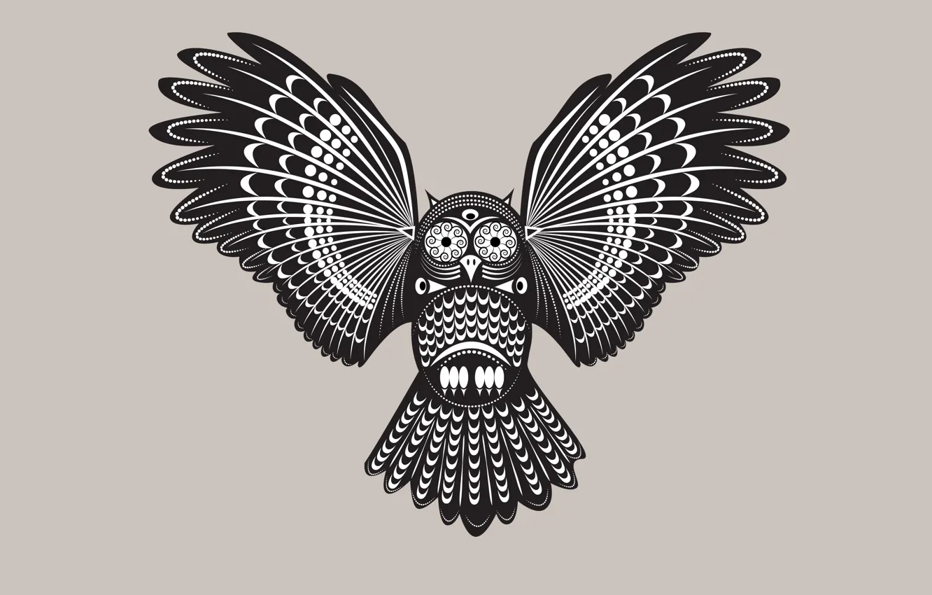 Photo wallpaper owl, bird, light background, owl