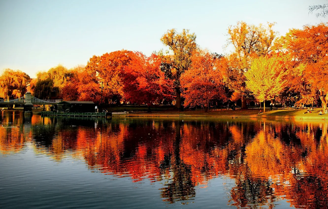 Photo wallpaper autumn, reflection, trees, lake, Park, USA, the bridge, Boston