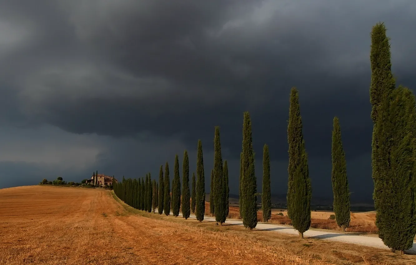 Photo wallpaper road, the sky, trees, landscape, Storm in Val d'Orcia
