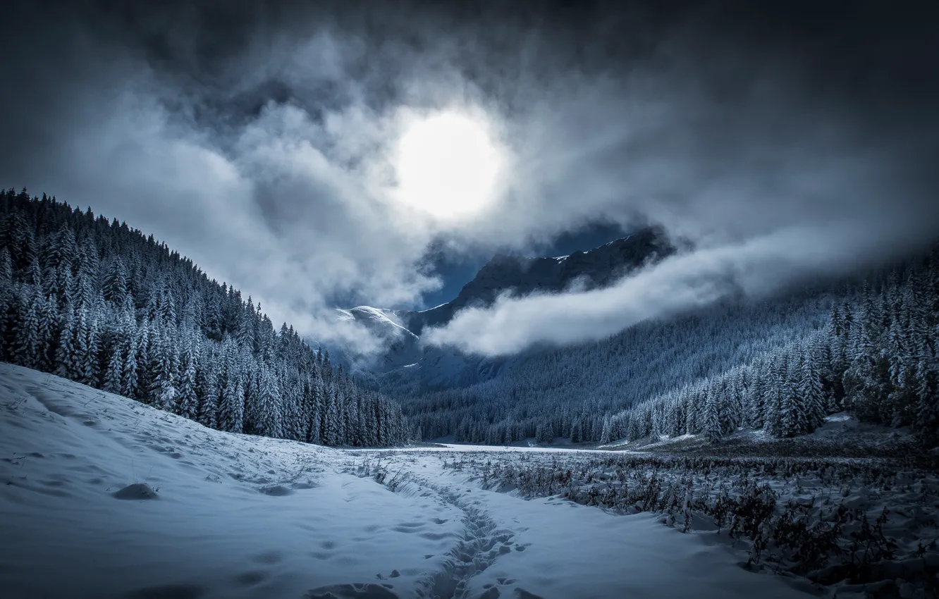 Photo wallpaper winter, frost, forest, the sky, clouds, light, snow, mountains