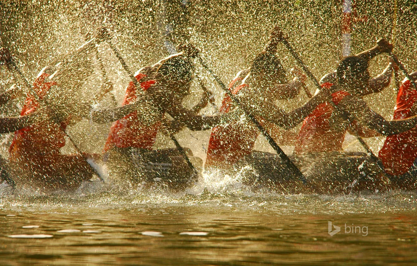 Photo wallpaper squirt, race, boat, India, rowing, Alapuzha