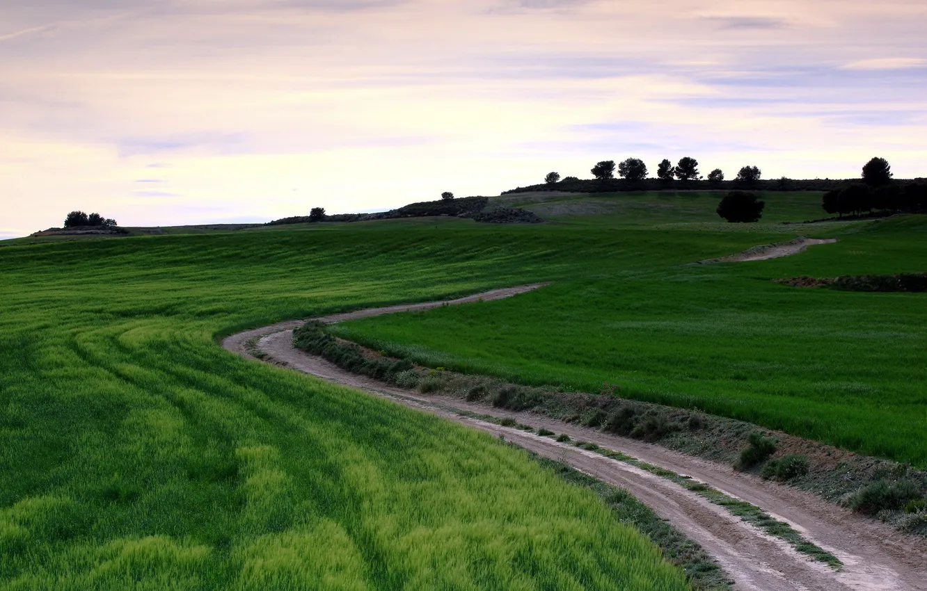 Photo wallpaper road, field, landscape