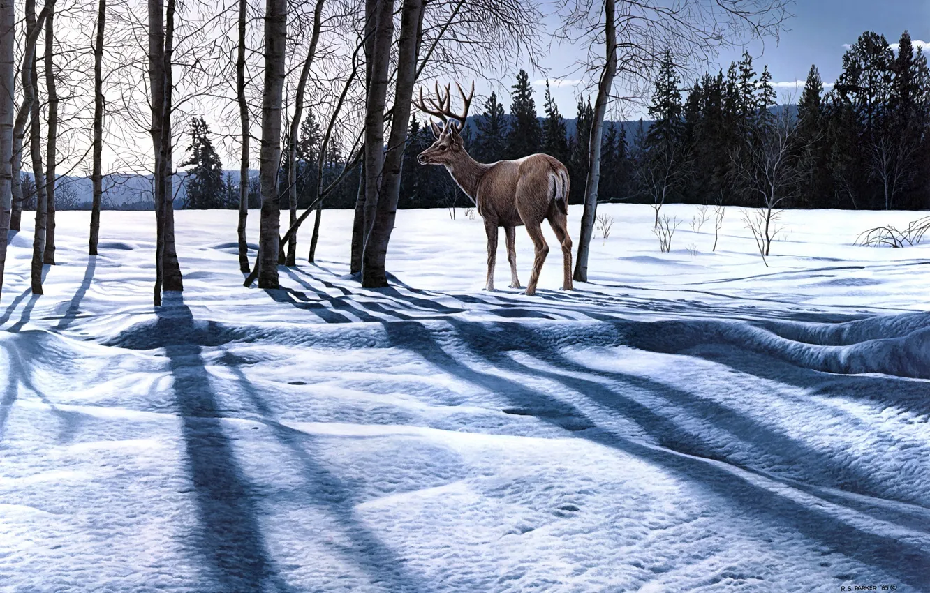 Photo wallpaper winter, forest, snow, landscape, nature, shadow, deer, painting