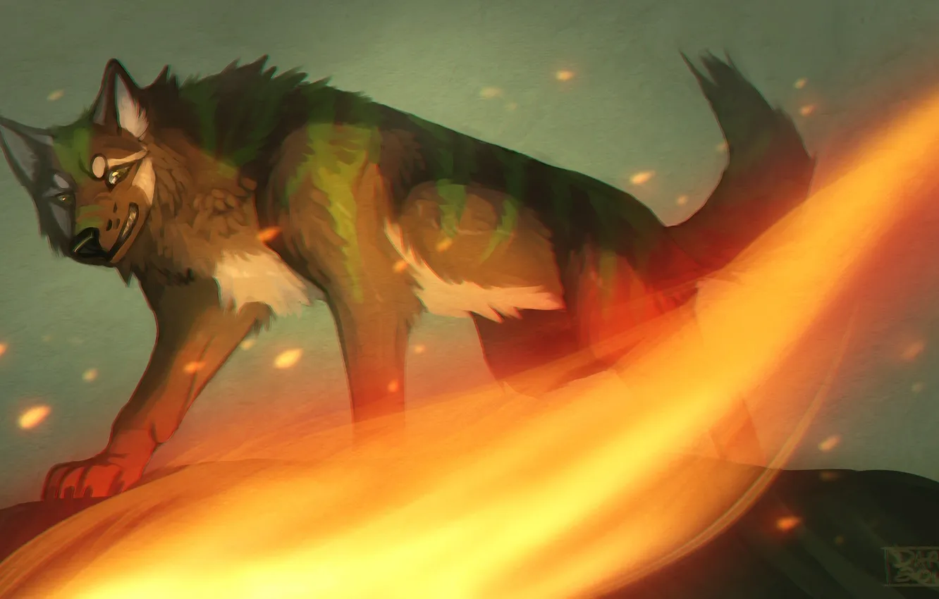 Photo wallpaper lights, wolf, grin