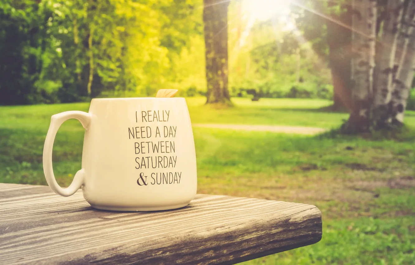 Photo wallpaper light, nature, the inscription, Cup