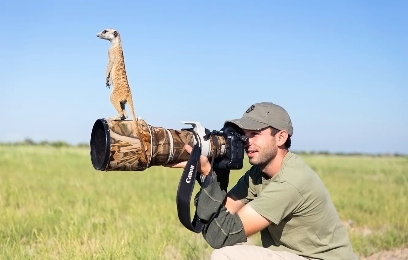 Photo wallpaper photographer, lens, meerkat
